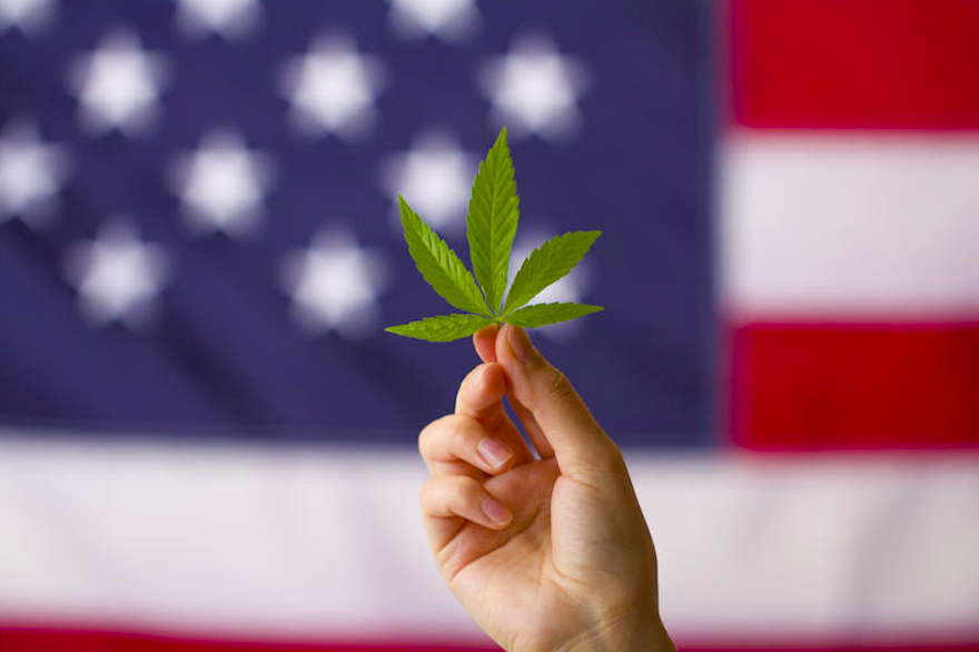 Everybody Must Get Stoned: Dems Take Big Step to Legalize Cannabis